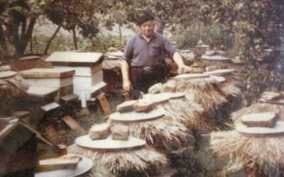 Souvenirs nostalgiques (pléonasme…) de l’apiculture belliloise de Grand Papa